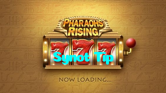 Synot Tip
